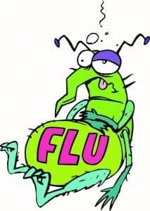 the Flu bug