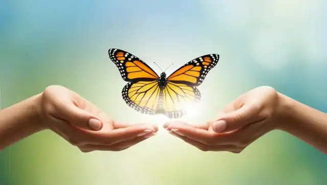 Life Coaching, butterfly in palm of hand