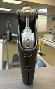 Prosthetic Leg